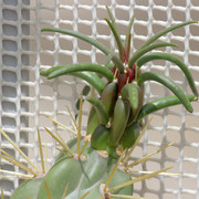 IMG-9028