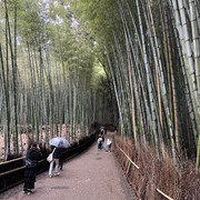 IMG-2803