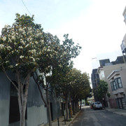 P1090568