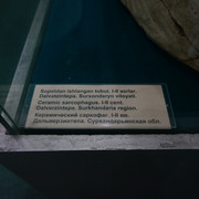 DSC04303