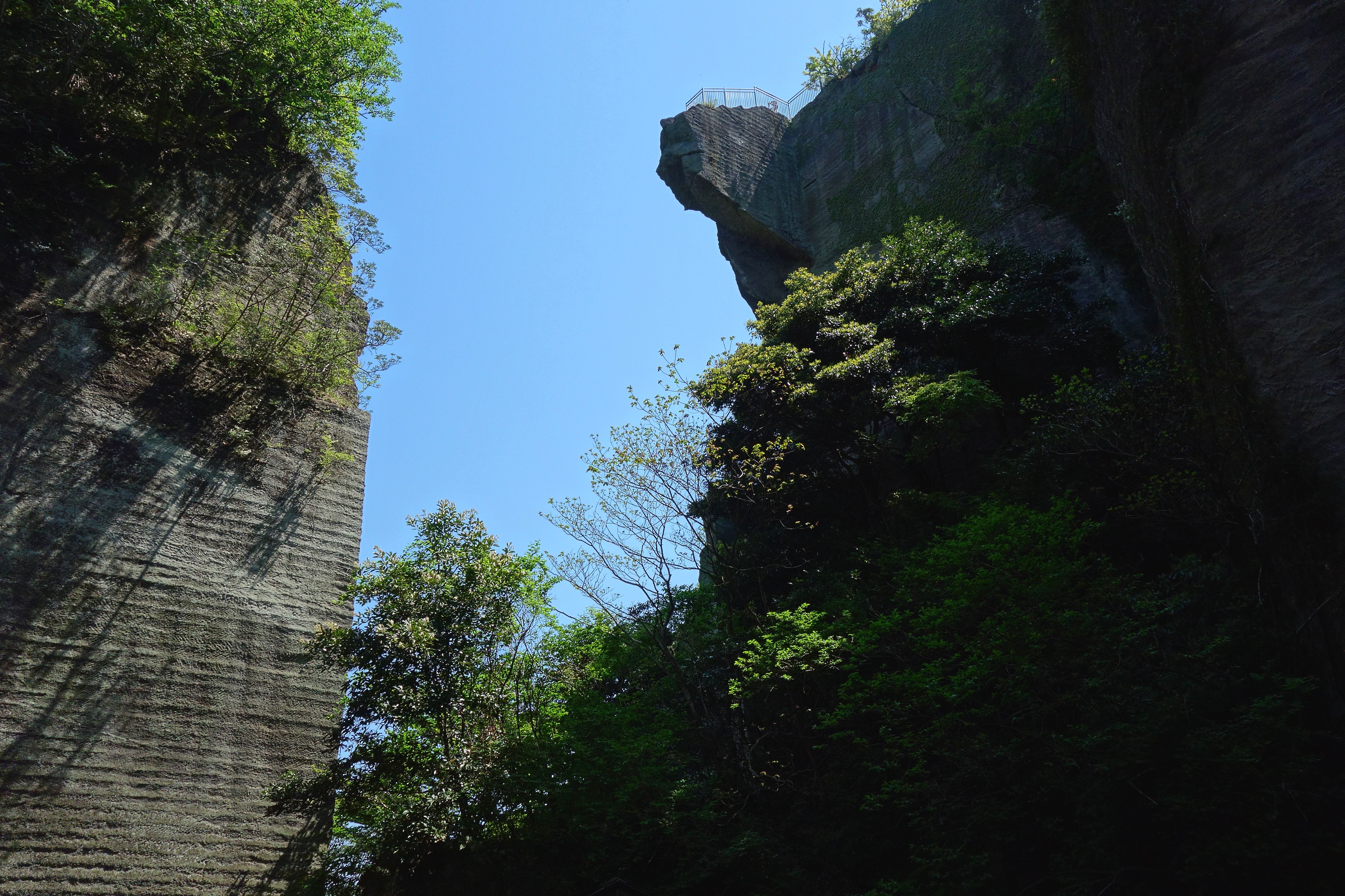 DSC03061