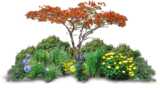 thGarden.png