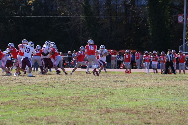IMG-0862.jpg