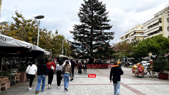PLATEIA-image00004
