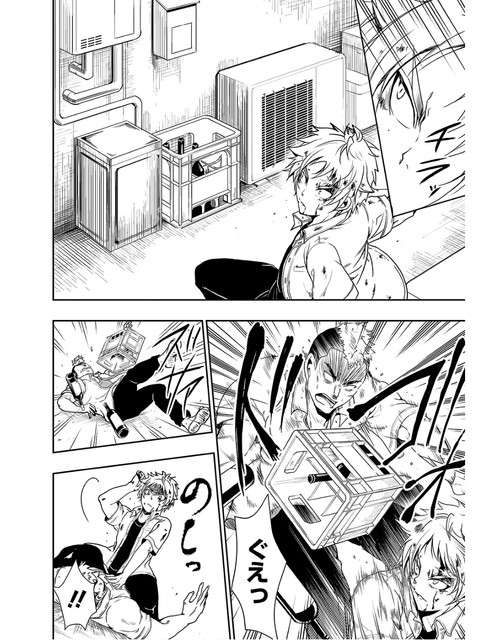 DLRAW-NET-0004