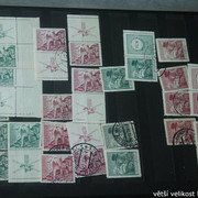 IMG-3284