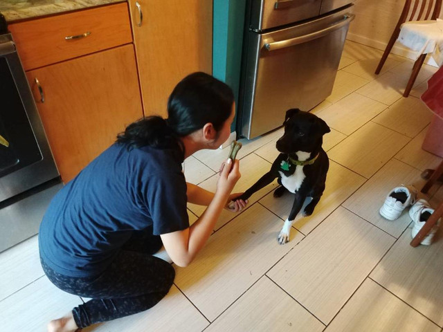 Training-Oscar