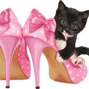 Woman-Accessories-2-01