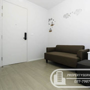 IMG-0882