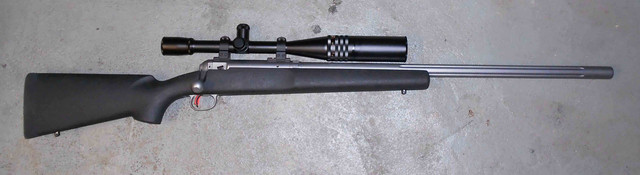 gun1