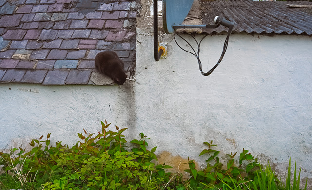 DSCF6144.jpg