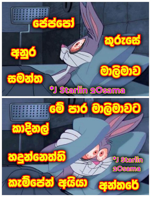 Maalimawa-Rabbit.jpg