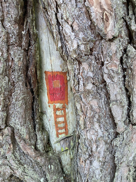 94-EC60-F1-F3-D0-46-E5-B6-EB-2-BB4-CA382