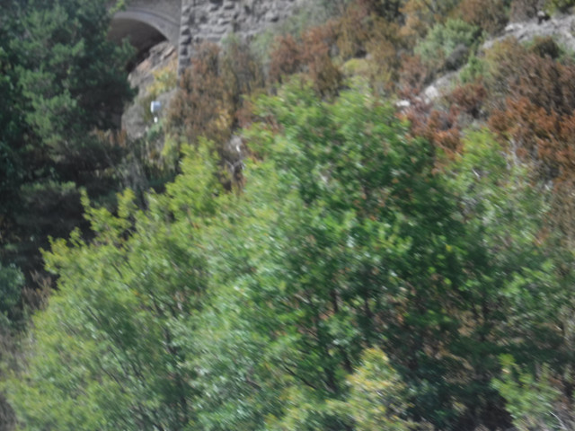 DSCF6268