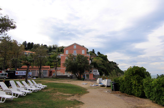 IMG-9849.jpg