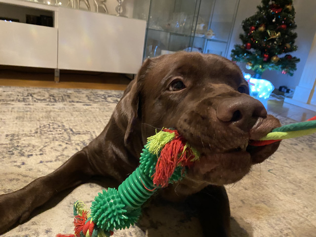 97-BD5822-4364-432-E-8-DEB-5-B15-AB2-F6-