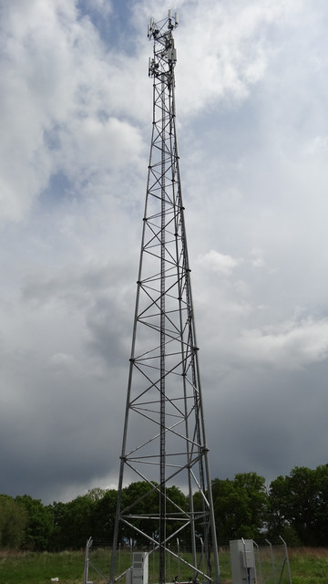 DSC08447