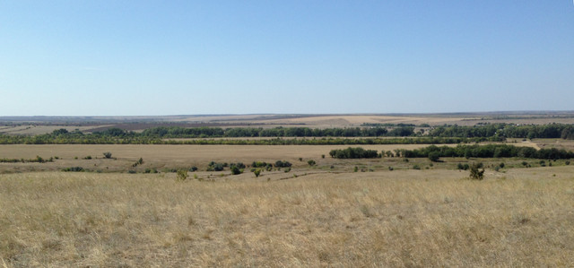 IMG-4180.jpg