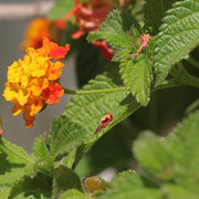 IMG-8554