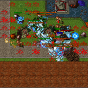 raid11