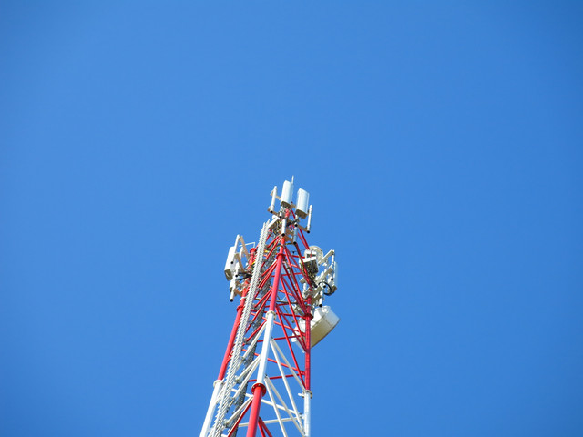 IMG-1499