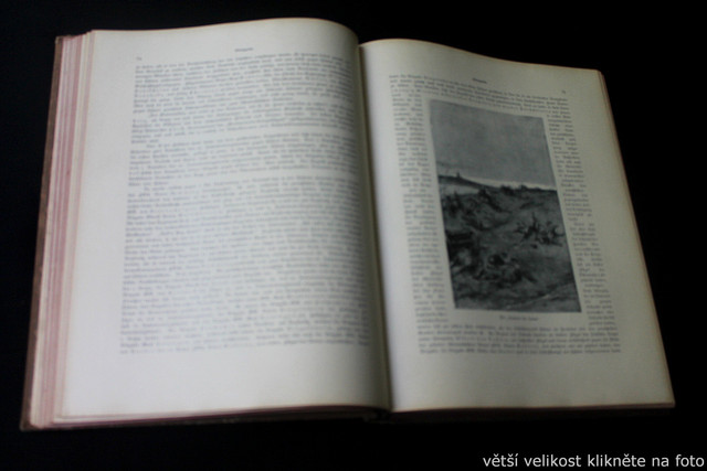 IMG-6364.jpg