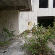 OLYMPUS-DIGITAL-CAMERA