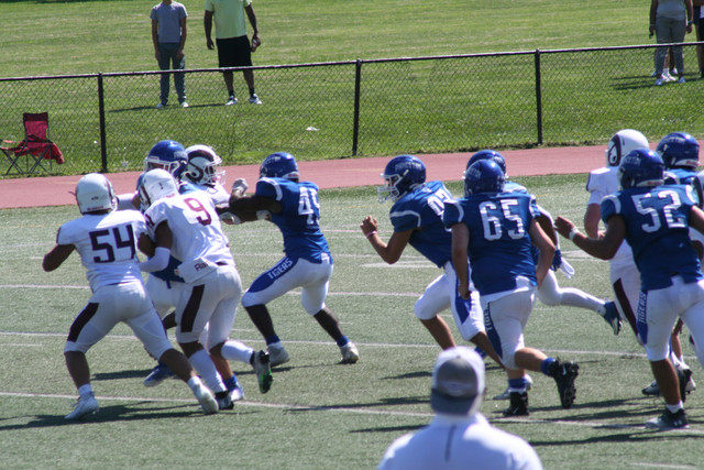 IMG-5646.jpg