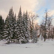 DSCF4418