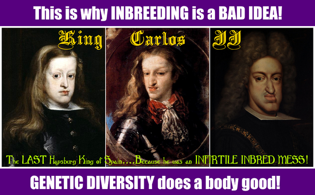 Why Inbreeding Is A BAD Idea