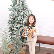 IMG-6573