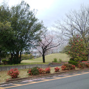 DSC-0009