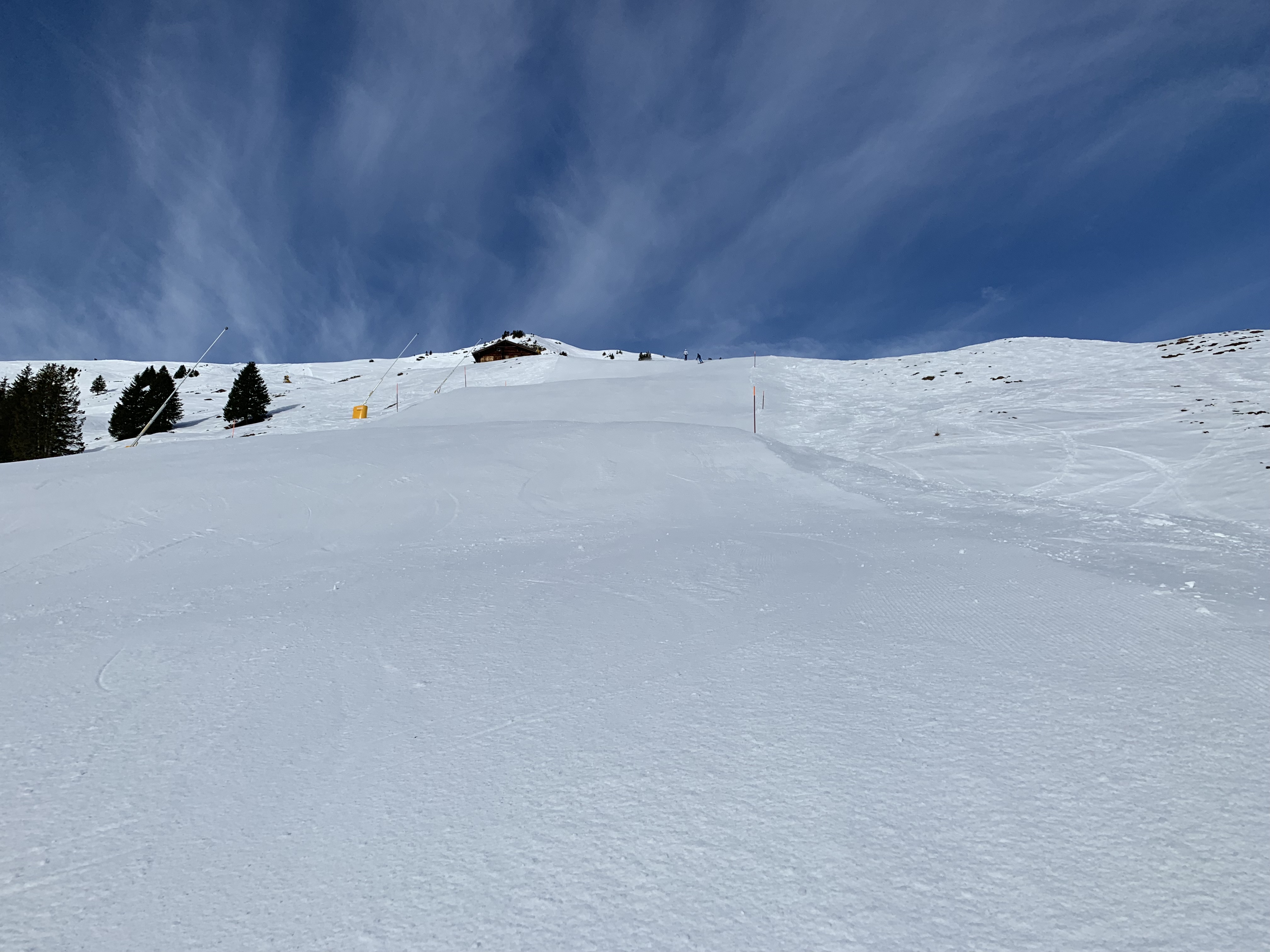 IMG-0602.jpg