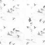 acc3350f024a