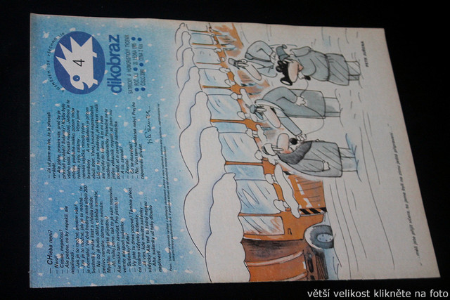 IMG-7647