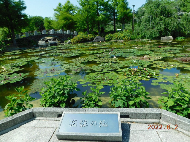 2022-6-2