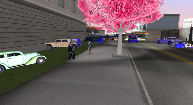 gallery44.jpg
