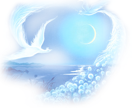 Image12.png