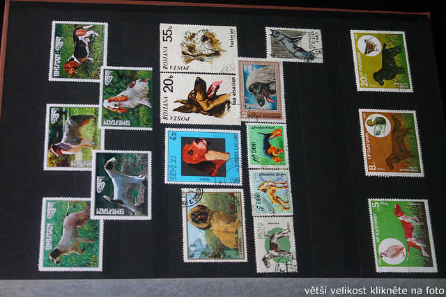 IMG-2337.jpg