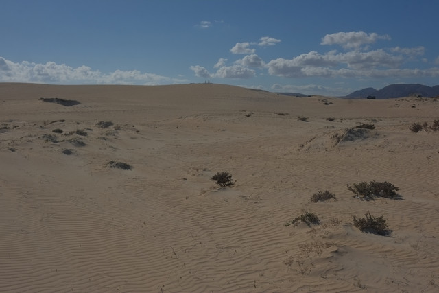 DSCF8562.jpg
