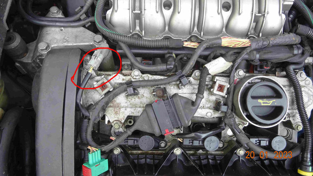 c5-stecker
