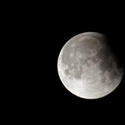 100c010081