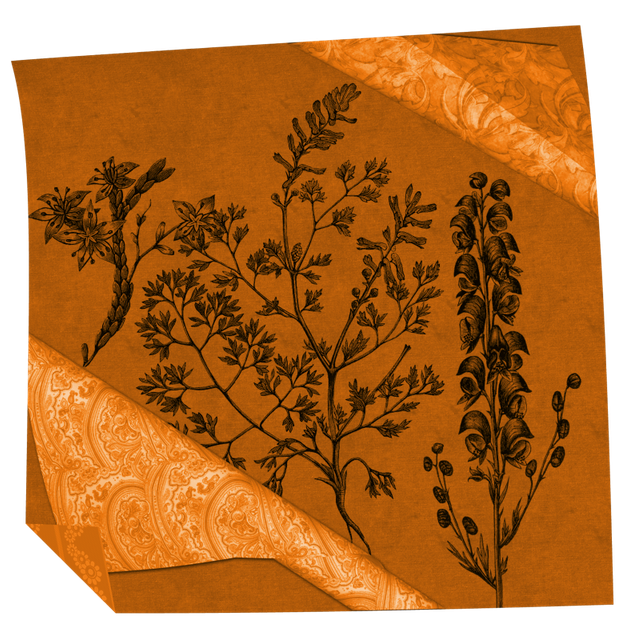 papier-orange.png