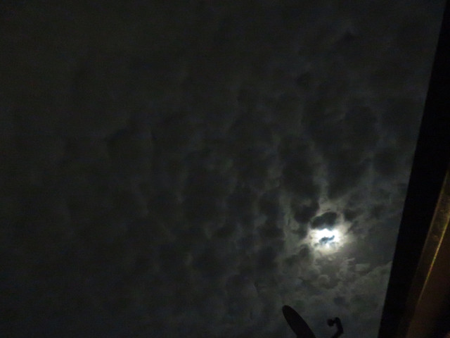 Pmoon-016.jpg