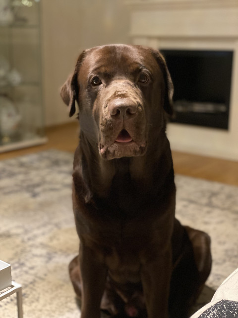 FD2-B53-FC-E4-AA-49-A9-B658-5-E2-E905-D6