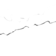 4-png-new