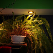 IMG-20211116-063545