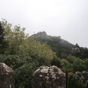 IMG 6734