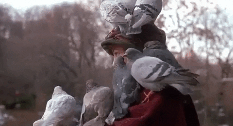 IMG-9374.gif