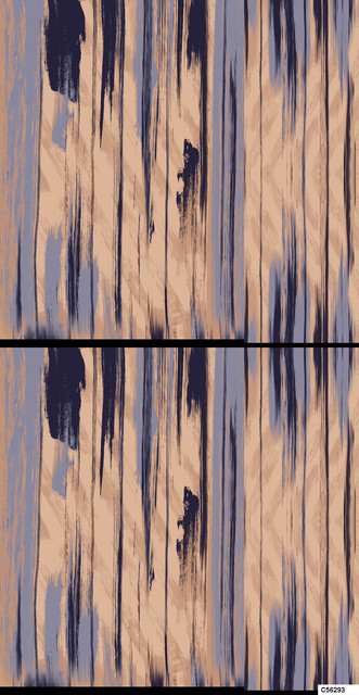 C56293 PP.jpg